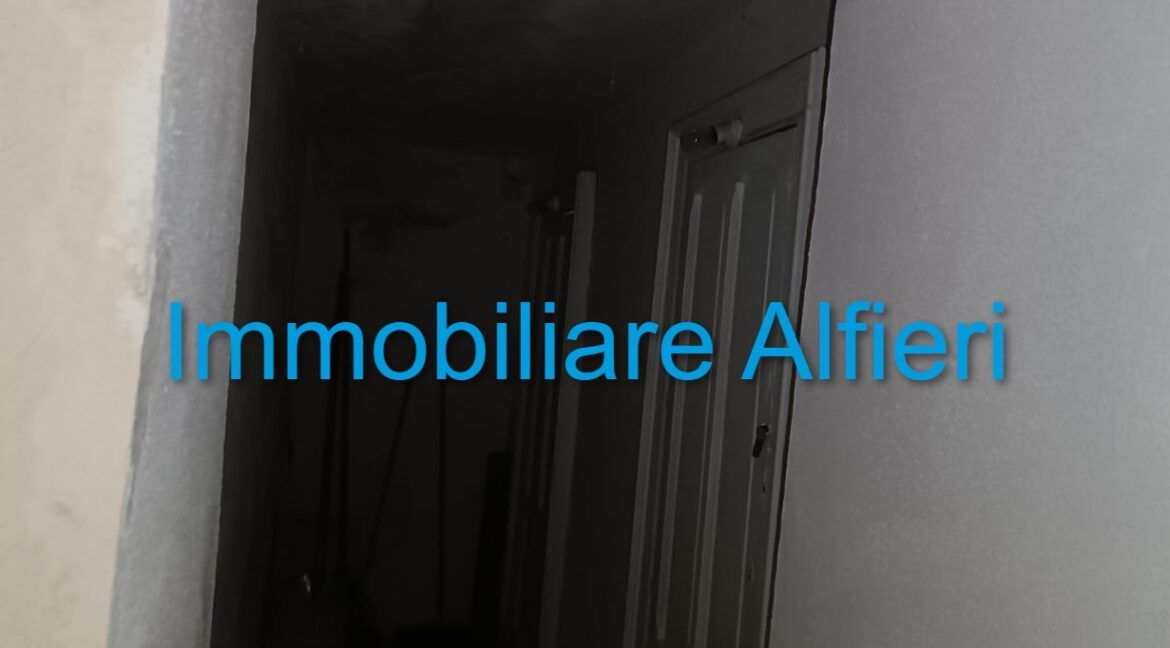 WhatsApp Image 2024-01-29 at 10.22.19