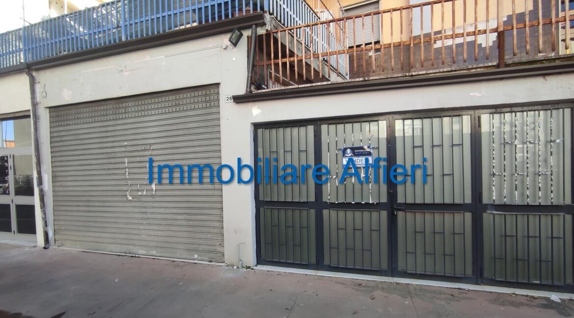 IMG_20240217_091234