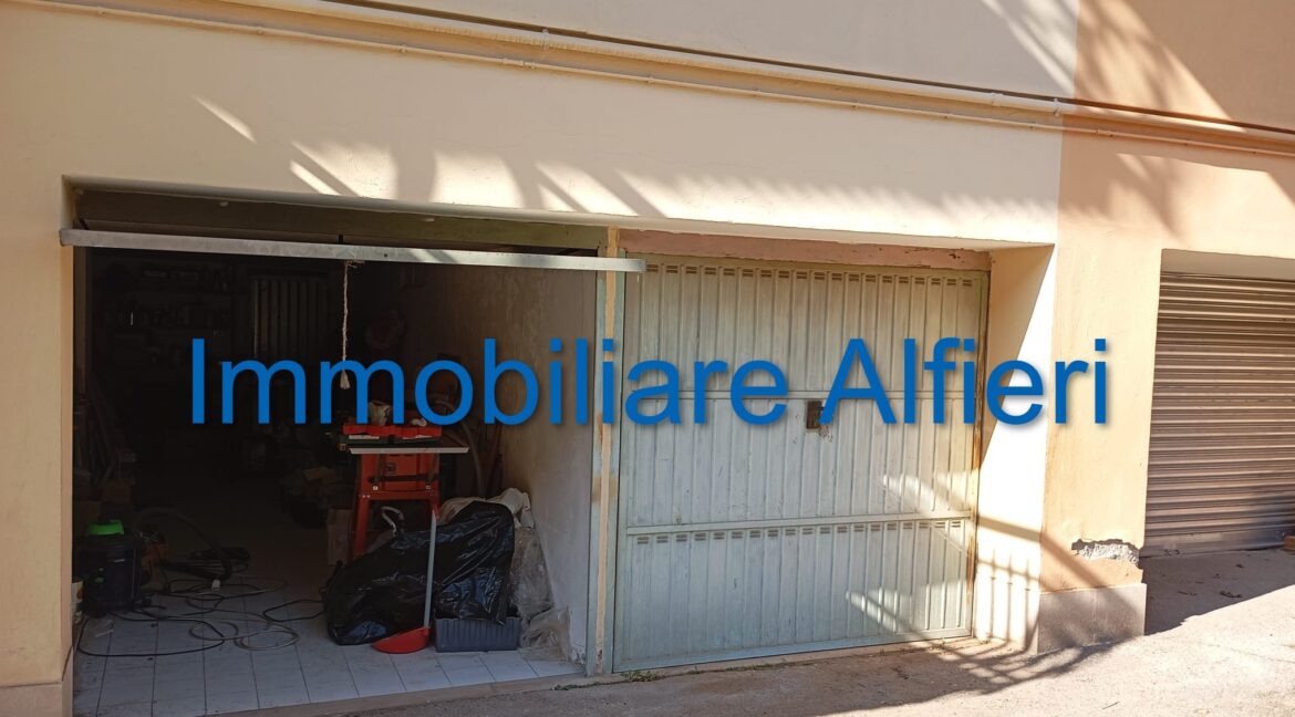 WhatsApp Image 2025-02-06 at 12.42.24