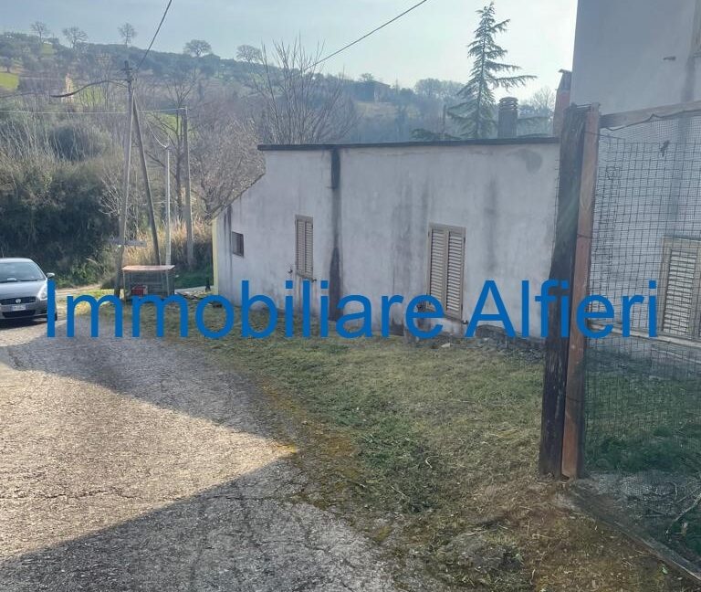 WhatsApp Image 2025-03-17 at 16.39.43 (2)