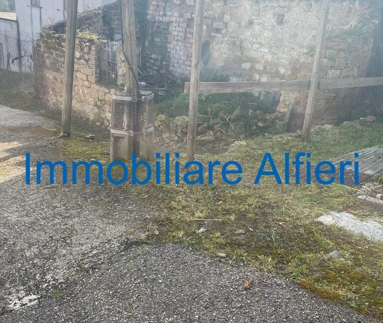 WhatsApp Image 2025-03-17 at 16.39.43 (3)