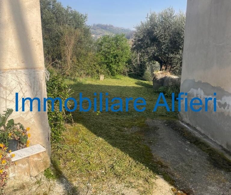 WhatsApp Image 2025-03-17 at 16.39.43 (4)