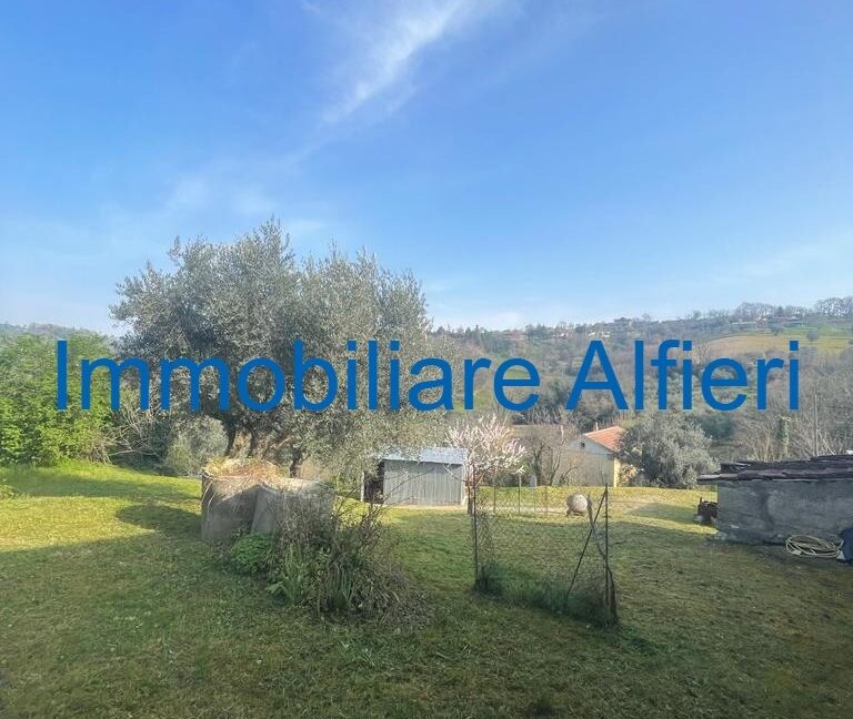 WhatsApp Image 2025-03-17 at 16.39.43 (5)