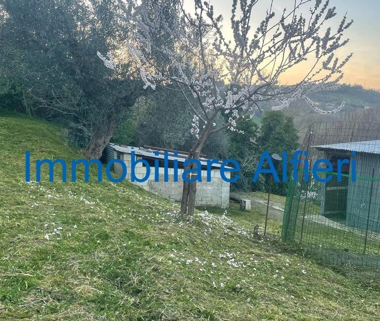 WhatsApp Image 2025-03-17 at 16.39.43