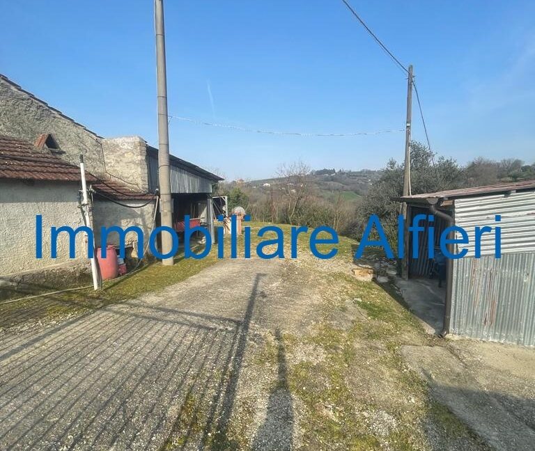 WhatsApp Image 2025-03-17 at 16.39.44 (1)