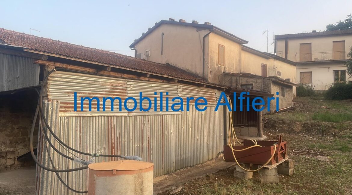 WhatsApp Image 2025-03-17 at 16.39.44 (2)