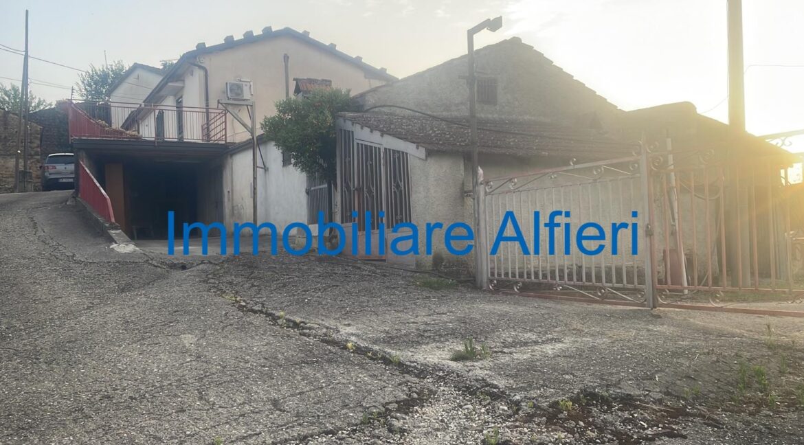 WhatsApp Image 2025-03-17 at 16.39.44 (4)