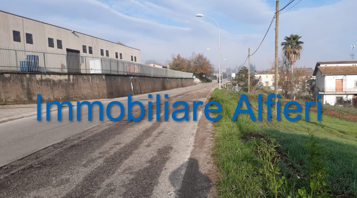 WhatsApp Image 2025-06-20 at 09.22.27 (1)