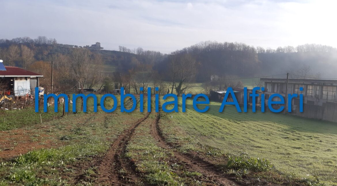 WhatsApp Image 2025-06-20 at 09.22.27