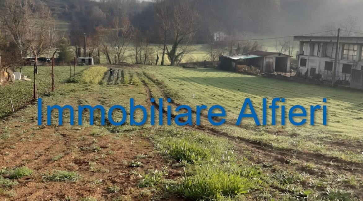 WhatsApp Image 2025-06-20 at 09.22.27 (2)