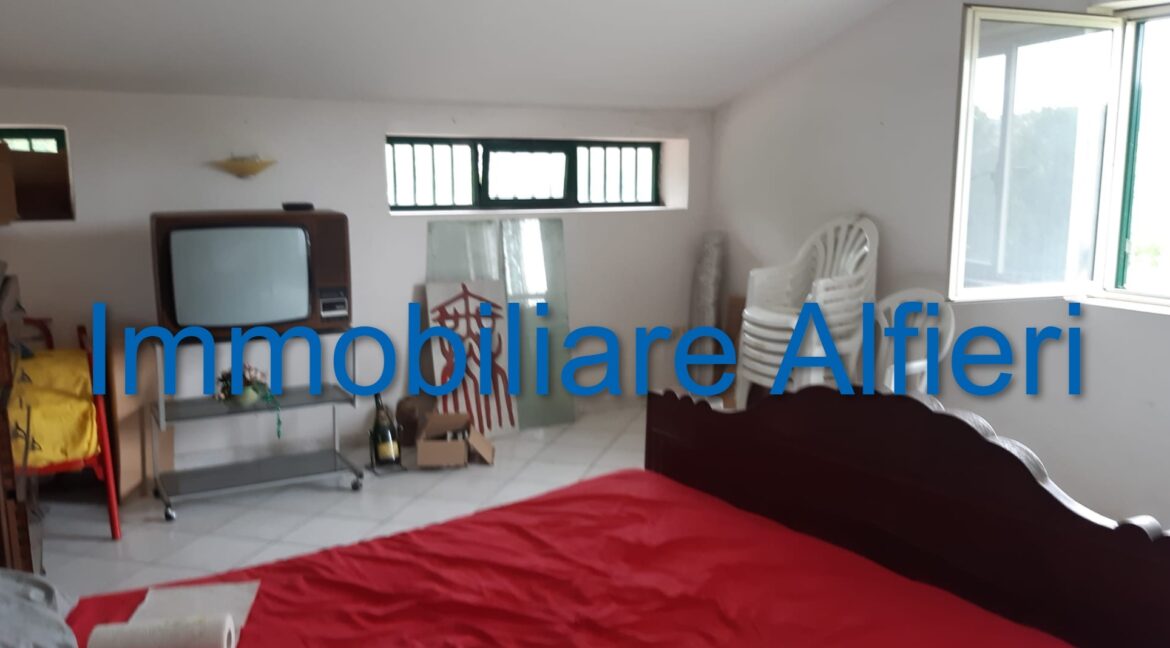 WhatsApp Image 2025-06-20 at 09.22.27 (3)