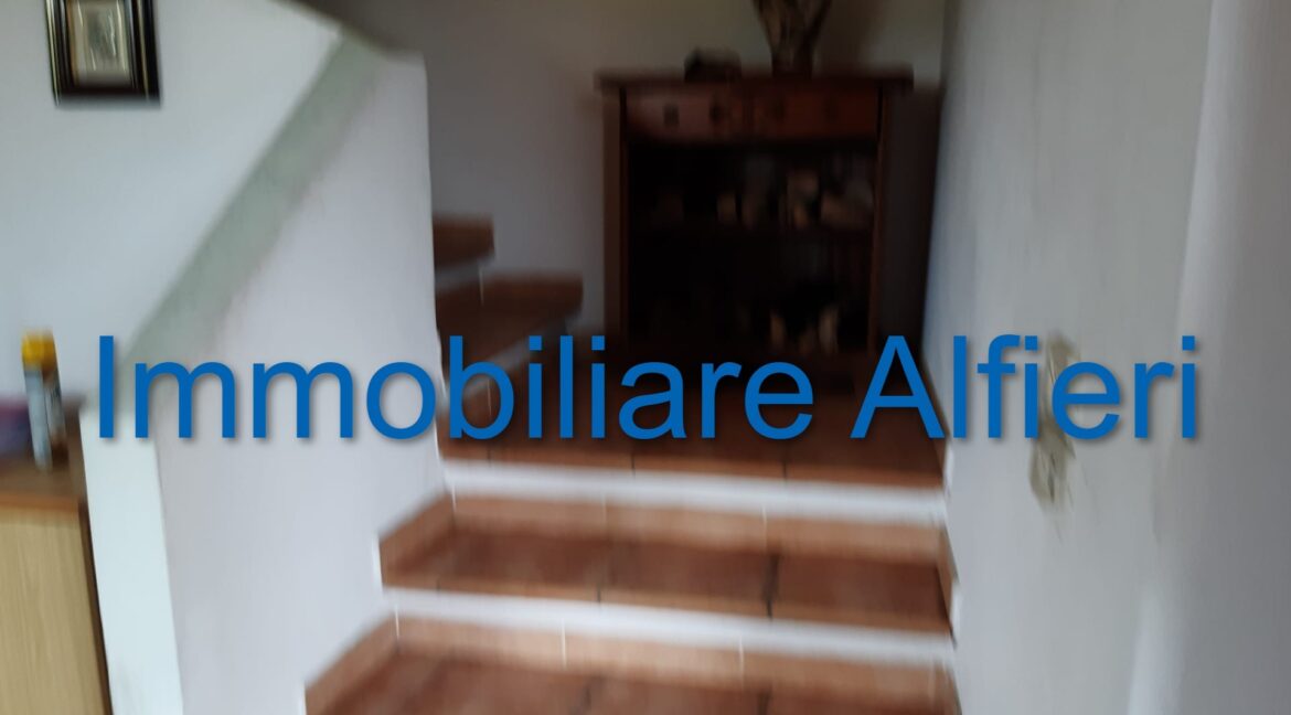 WhatsApp Image 2025-06-20 at 09.22.28 (3)