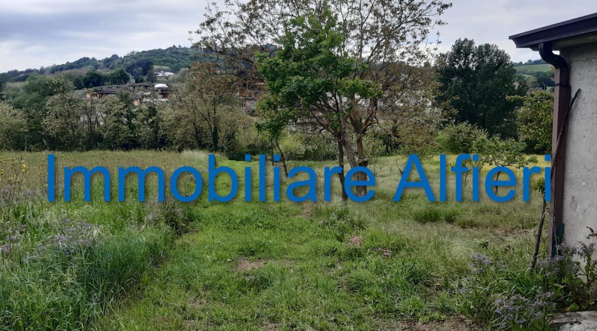 WhatsApp Image 2025-06-20 at 09.22.29 (1)