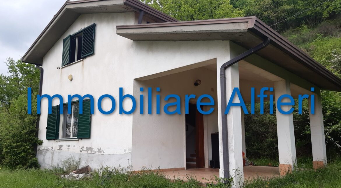 WhatsApp Image 2025-06-20 at 09.22.29