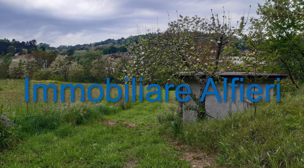 WhatsApp Image 2025-06-20 at 09.22.30