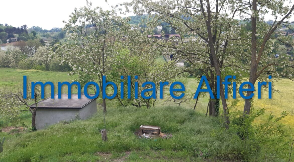 WhatsApp Image 2025-06-20 at 09.22.30 (2)