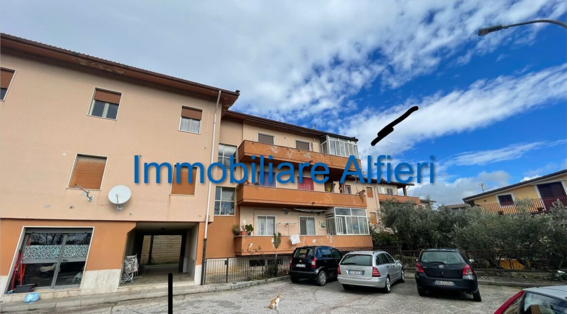 IMG-20260205-WA0038 (1)